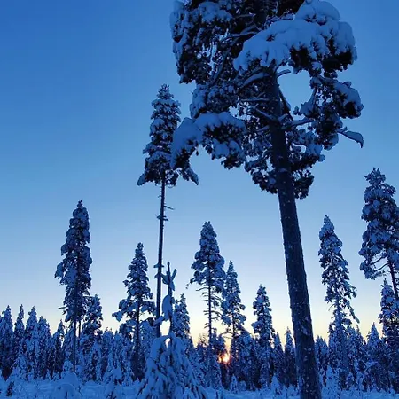 Valtteri * Rovaniemi