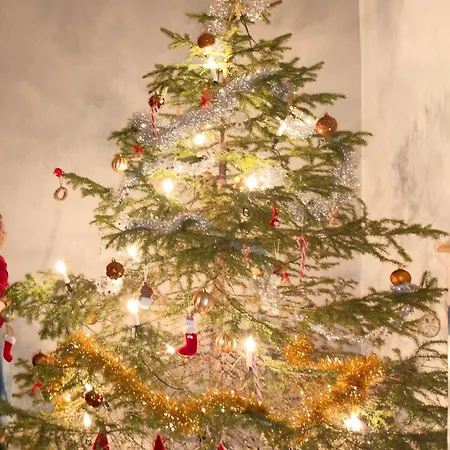 Valtteri Apartman Rovaniemi